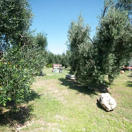 Coppola Rossa Relax