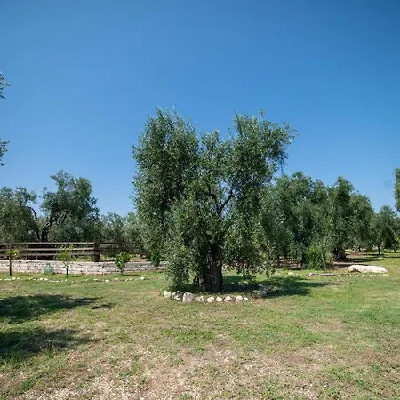 Coppola Rossa Relax Bed & Breakfast