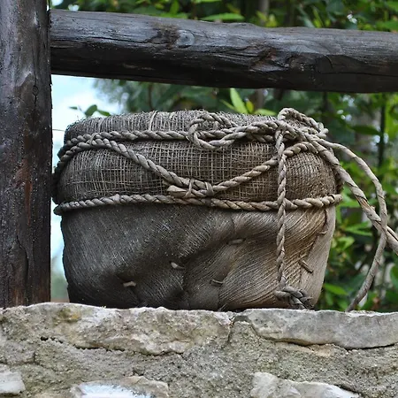 Coppola Rossa Relax Vieste