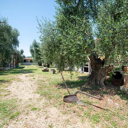 Coppola Rossa Relax Bed and Breakfast Βιέστε