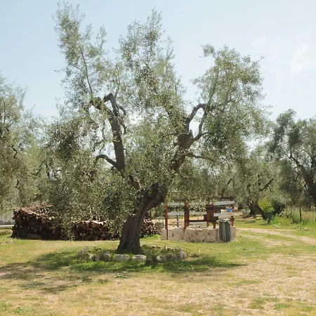 Coppola Rossa Relax Bed and Breakfast Βιέστε