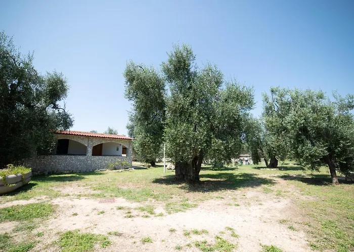 Alojamento de Acomodação e Pequeno-almoço Coppola Rossa Relax