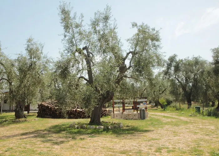 Coppola Rossa Relax Alojamento de Acomodação e Pequeno-almoço Vieste